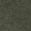 Ковролин для прихожей (1248)